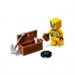 LEGO 21189 Tesouros