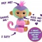 Fingerlings Concentra Norah