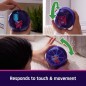 Hamster Ball Interactive