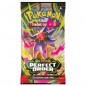 Saqueta Cartas Pokémon Perfect Order