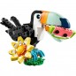 Animais Selvagens: Tucano Tropical
