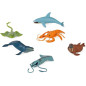 Animais aquáticos com cerca de 14 cm Animais aquáticos com cerca de 14 cm